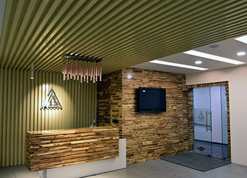 Portfolio Image