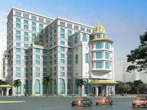 Portfolio Image