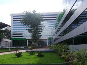 Portfolio Image