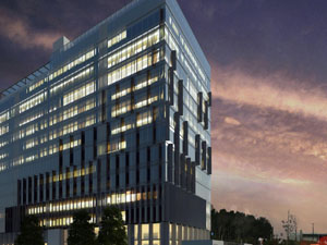 Portfolio Image